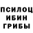 Псилоцибиновые грибы Psilocybine cubensis xILazyAssIIx