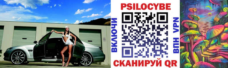 Псилоцибиновые грибы GOLDEN TEACHER  Купить закладки  Городовиковск 
